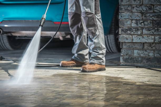 Best Soft Washing  in Owingsville, KY